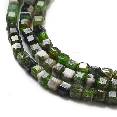 Natural Diopside Beads Strands G-G161-C23-01-1