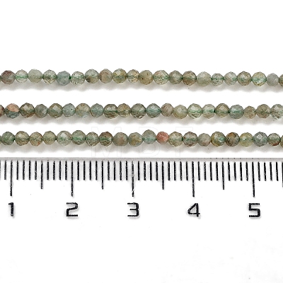 Natural Green Apatite Beads Strands G-G105-A05-01-1