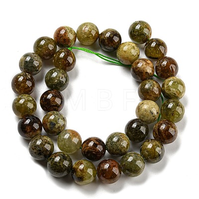Natural Green Garnet Beads Strands G-G661-12mm-1
