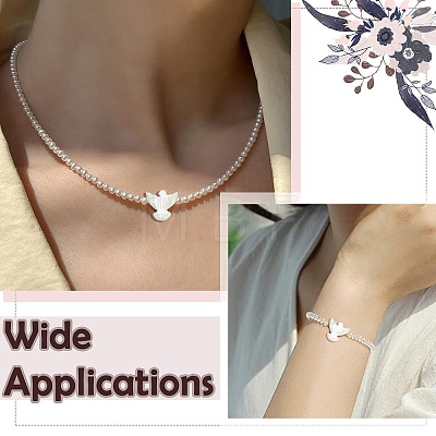 Natural Shell Beads BSHE-H017-02-1