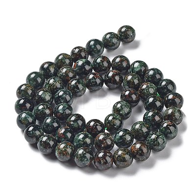 Natural Seraphinite Beads Strands G-C058-A01-03-1