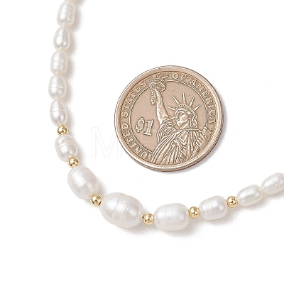 Natural Cultured Freshwater Pearl Necklaces for Women NJEW-JN05940-1