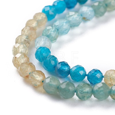 Natural Blue Yellow Green Apatite Beads Strands G-A026-A11-3mm-1