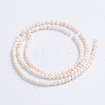 Natural Pink Shell Beads Strands SSHEL-L016-18B-1