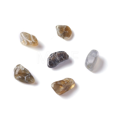 Natural Labradorite Chip Beads G-M364-15-1