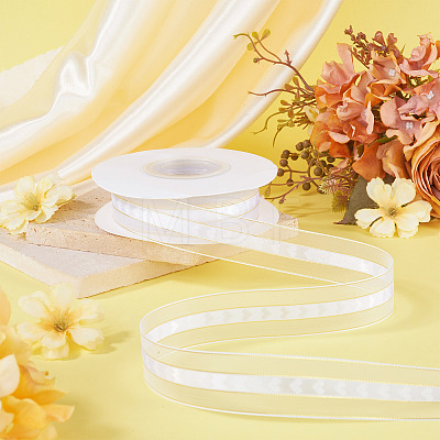 Polyester Lace Ribbon OCOR-TADJ0001-07C-1