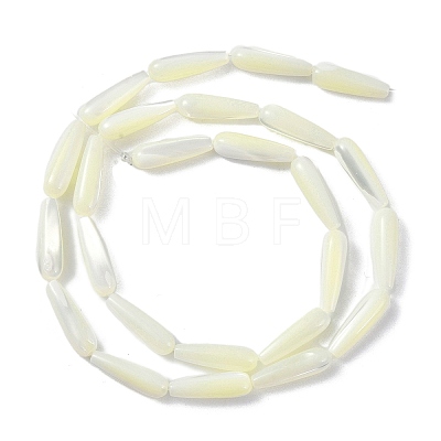 Natural White Shell Beads PEAR-B002-01B-A-1