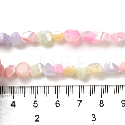 Rainbow Color Dyed Natural Freshwater Shell Beads Strands SHEL-G018-02E-1