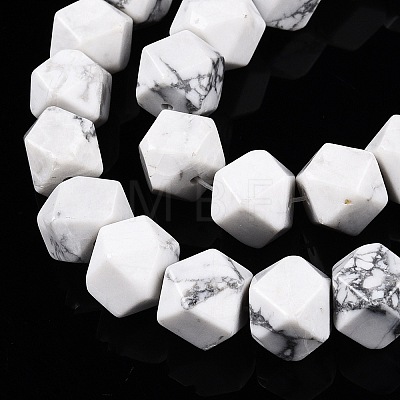 Natural Howlite Beads Strands G-T138-35-1