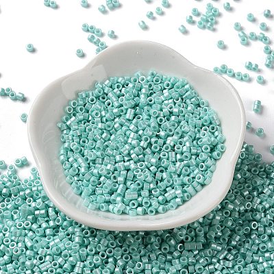 Baking Paint Glass Seed Beads SEED-S042-15A-09-1