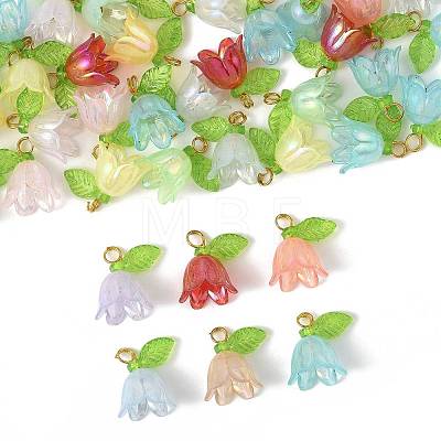 50Pcs Transparent Acrylic Pendants PALLOY-FS00043-03-1