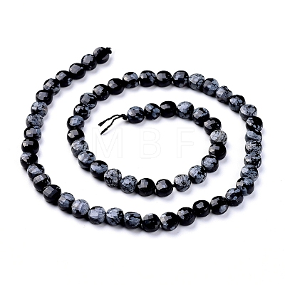 Natural Snowflake Obsidian Beads Strands G-L538-003-1