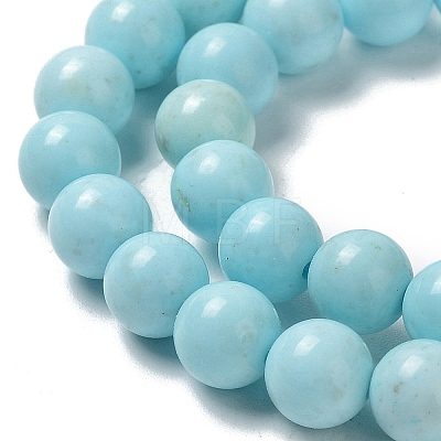 Natural Howlite Beads Strands G-E604-B02-A-1