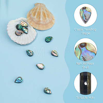 10Pcs Abalone Shell/Paua Shell Beads SSHEL-FI0001-01-1