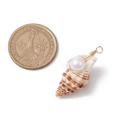 3Pcs Natural Shell Pendants PALLOY-JF03226-02-1