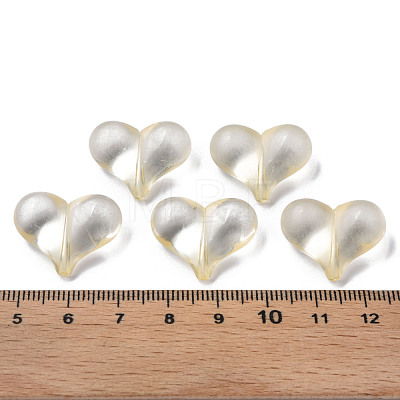 Transparent Acrylic Beads MACR-S373-70-B13-1