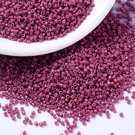 MIYUKI Delica Beads X-SEED-J020-DB2118-1