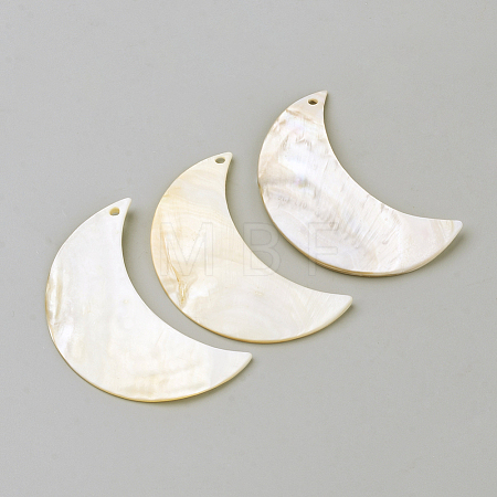 Freshwater Shell Pendants X-BSHE-S620-04-1
