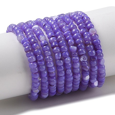 Natural Freshwater Shell Beads Strands SHEL-P017-01B-04-1