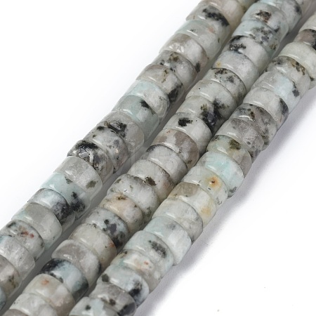 Natural Sesame Jasper/Kiwi Jasper Beads Strands G-Z006-C22-1