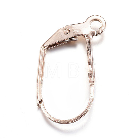 Ion Plating(IP) 304 Stainless Steel Leverback Earring Findings X-STAS-D167-57RG-1