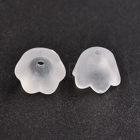Transparent Acrylic Beads Caps Y-PL543-1-1