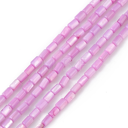 Natural Freshwater Shell Dyed Beads Strands SHEL-M018-12-08-1