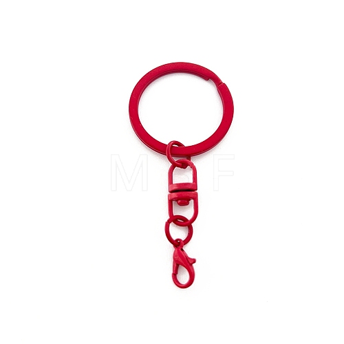 Spray Painted Iron Keychain Swivel Clasps FIND-WH0111-355G-1