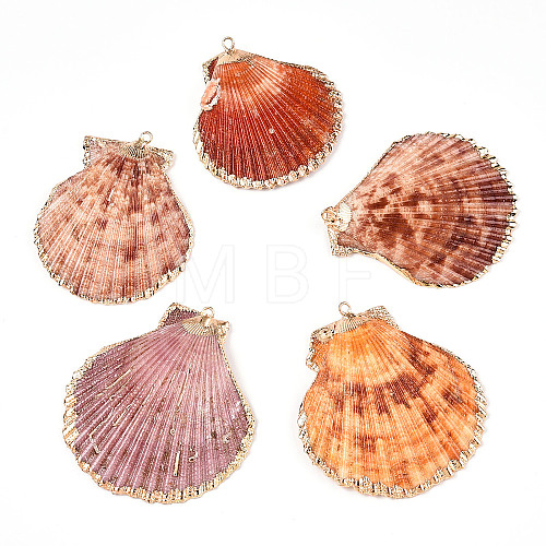 Electroplate Multicolor Sea Shell Pendants SSHEL-S262-31-1