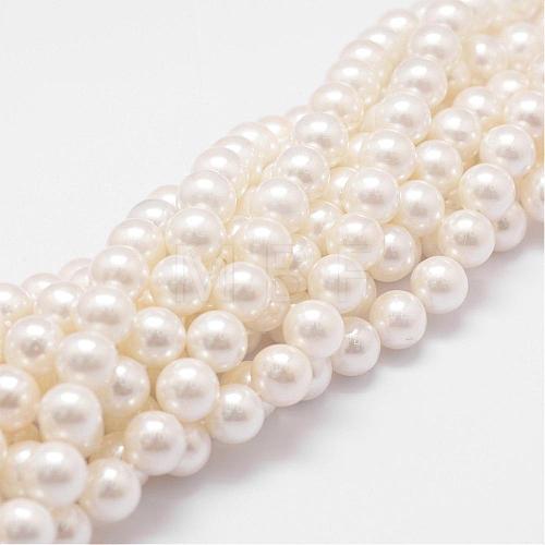 Rainbow Plated Shell Pearl Bead Strands BSHE-L025-02-6mm-1