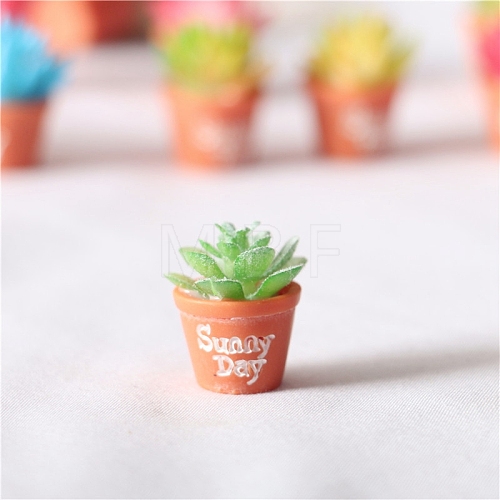 Mini Resin Artificial Succulent Plant Ornaments PW-WG32044-03-1