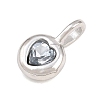 304 Stainless Steel Pendants RB-CBA40D0-01P-A-2