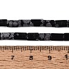 Natural Snowflake Obsidian Beads Strands GG-N002-01A-05-5