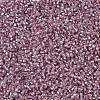 MIYUKI Delica Beads SEED-X0054-DB1434-3