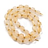 Natural Citrine Beads Strands G-C171-D02-02-3