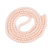Baking Paint Glass Pearl Beads Strands DGLA-ZX001-05A-02-2