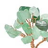Natural Green Aventurine Chip Pachira Glabra Display Decorations DJEW-K025-04B-3