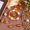 48Pcs 6 Styles Resin Imitation Amber Beads RESI-CA0001-36-4