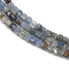 Natural Kyanite Beads Strands G-B088-E24-02-4