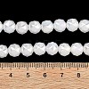 Electroplate Transparent Glass Beads Strands GLAA-H040-01I-4