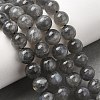 Natural Labradorite Beads Strands G-J120-28-8mm-A-1
