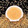 6/0 Inside Colours Transparent Glass Seed Beads SEED-T007-07F-1
