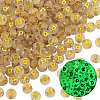 50G Luminous Transparent Acrylic Beads OACR-TAD0001-01P-3