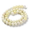 Natural Jade Beads Strands G-L609-A01-01-3