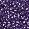 Silver Lined Glass Seed Beads SEED-T007-18A-09-3