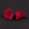 Transparent Acrylic Beads PL622-C14-2