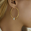 Elegant Geometric Stainless Steel Earrings for Women ZG4921-1