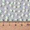 FGB Grade A Frosted Glass Seed Beads SEED-Q040-04A-03-6