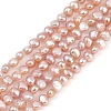 Natural Cultured Freshwater Pearl Beads Strands PEAR-P064-19B-05B-2