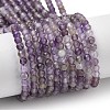 Natural Amethyst Beads Strands G-G189-D22-06-1